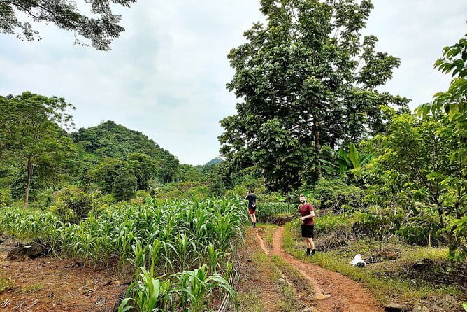 Private Transfers Ha Giang <=> Sapa One Way (Free Hotel Pickup) - What is included, and what you pay separately