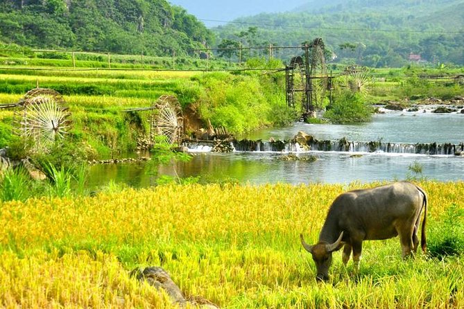 Private transfers Hanoi <=> Puluong 1 Way (Free Hotel Pickup) - Hanoi pickup, from hotel door to open road