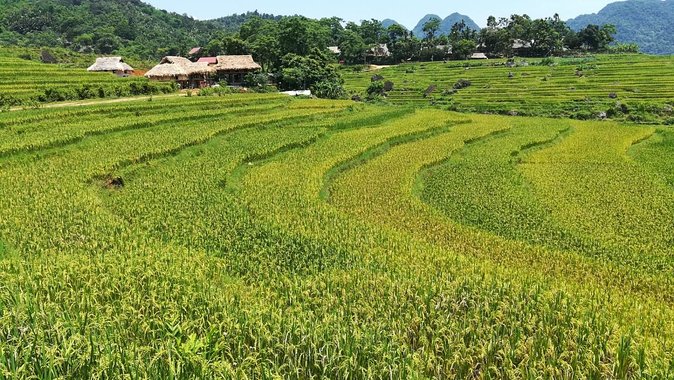Private transfers Hanoi <=> Puluong 1 Way (Free Hotel Pickup) - Timing your departure from Hanoi
