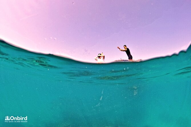 PRO-SNORKELING to Explore Hidden Coral Reefs (MAX 10 PAX) - Two selected reefs and 1.5 to 2 hours in the water