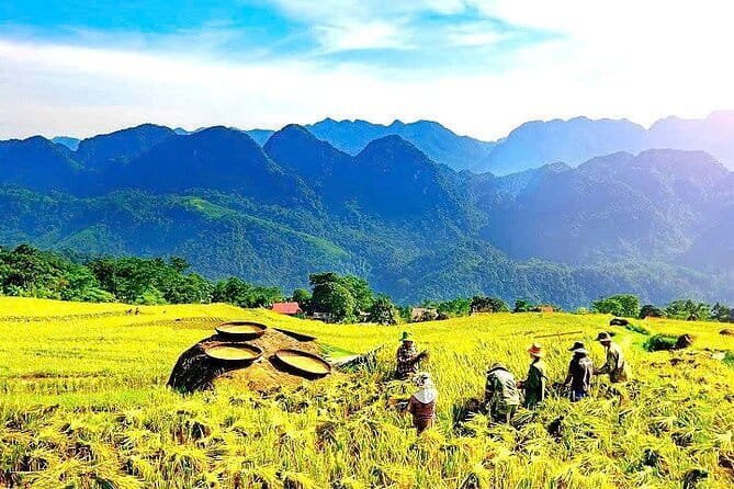 Pu Luong 2 Days Trekking & Village Experience with local Family - Why Pu Luong works for a two-day escape