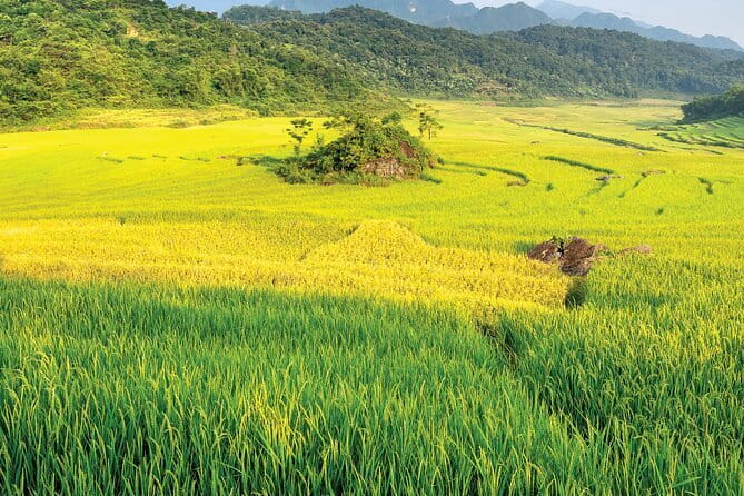 Pu Luong 3-Day Adventure: Trekking, Cycling & Local Cooking Class - Pu Luong beyond the usual Vietnam route