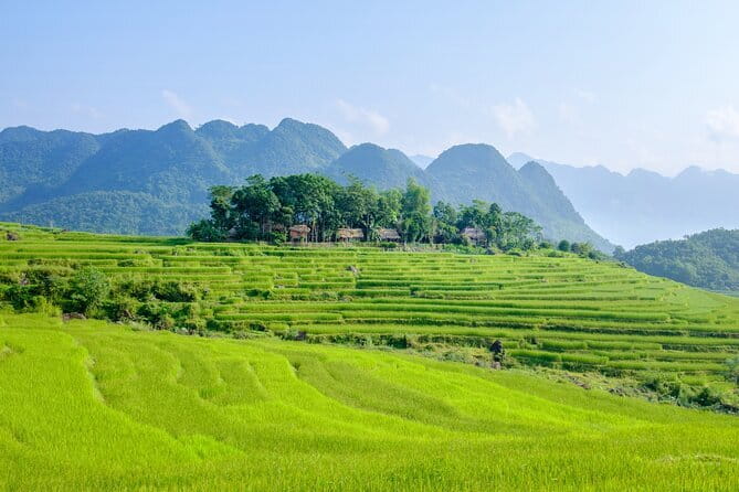 Pu Luong 3-Day Adventure: Trekking, Cycling & Local Cooking Class - The cooking class: a meal with a local family