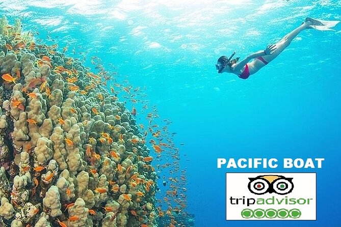 REAL snorkel &island hopping by SPEEDBOAT-EXPLORE CUISINES(MAX12) - Timing, weather, and useful packing advice