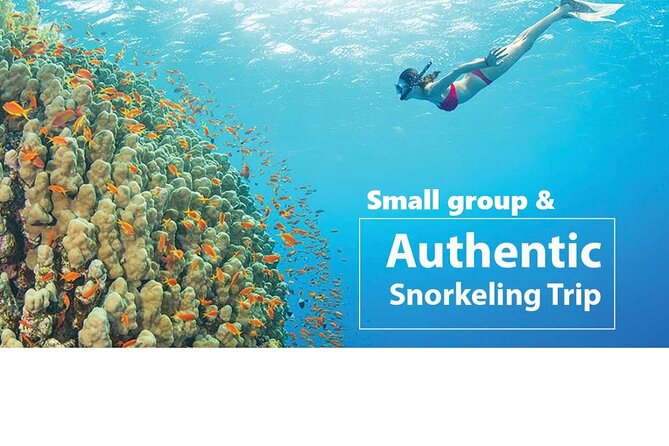 REAL snorkel &island hopping by SPEEDBOAT-EXPLORE CUISINES(MAX12) - May Rut or Gam Ghi for sand and swimming
