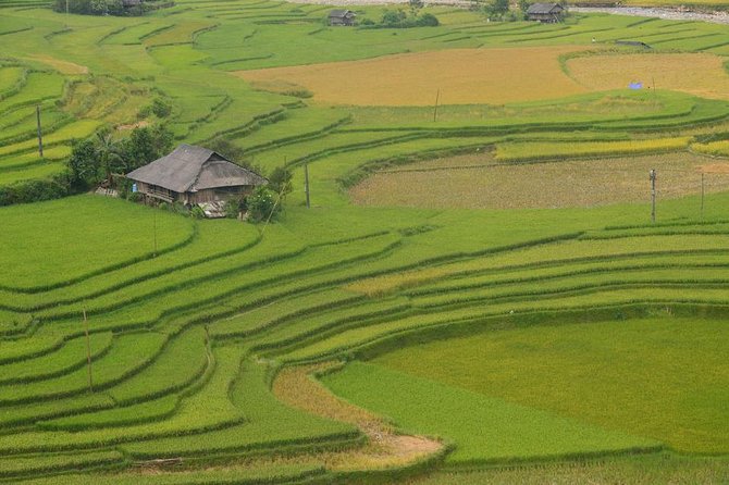 Sa Pa 2-Day Moderate Trek and Homestay Limousine Tour from Hanoi - Walking the terraces around Lao Chai