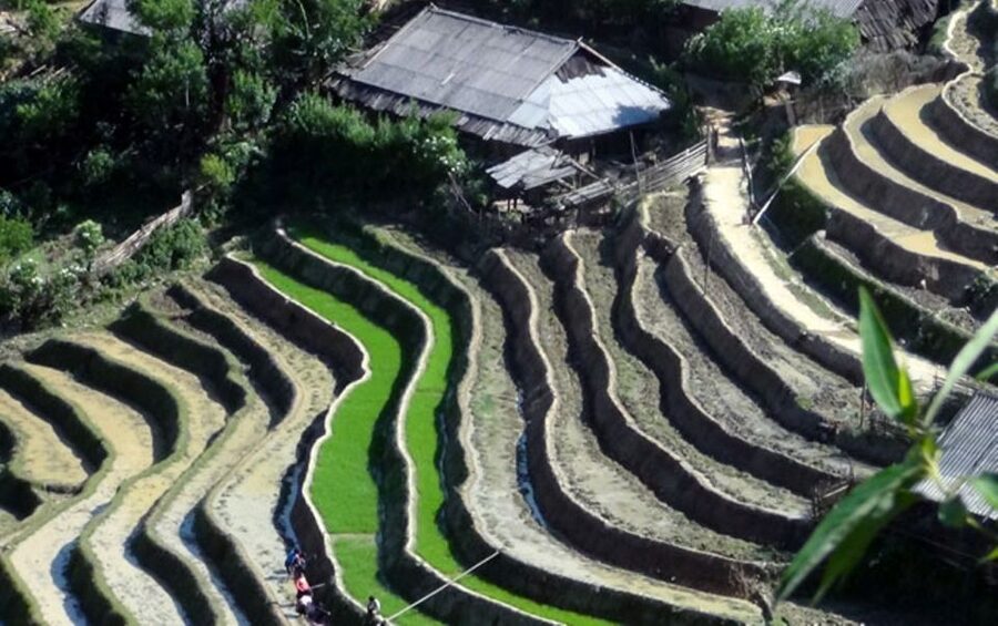 Sa Pa: 6-Hours Muong Hoa Valley Trek with Local Ethnic guide - Ta Van and the Dzay way of life