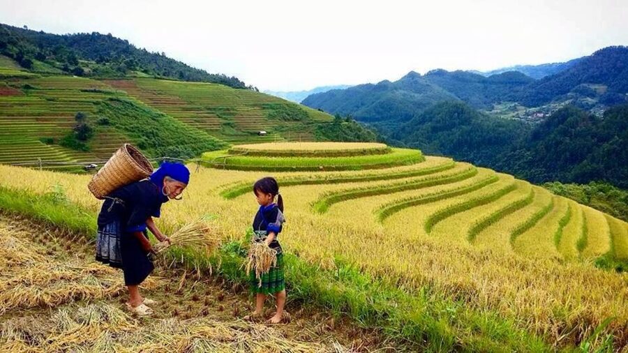 Sa Pa: 6-Hours Muong Hoa Valley Trek with Local Ethnic guide - Guides, group size, and transport
