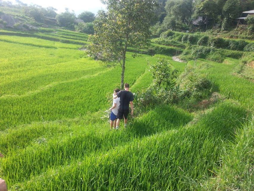Sa Pa: 6-Hours Muong Hoa Valley Trek with Local Ethnic guide - What this tour gets right, and where it falls short