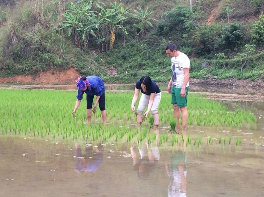 Sa Pa: 6-Hours Muong Hoa Valley Trek with Local Ethnic guide - From Sa Pa to Y Linh Ho in 20 minutes