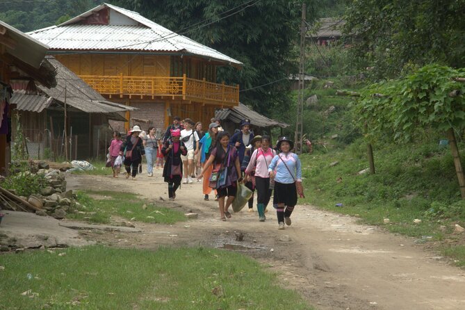 Sa Pa Full Day Trekking Tour - Guides, group size, and the feel of the day
