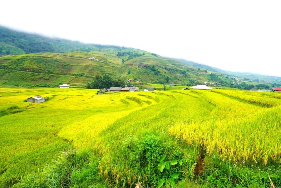 Sa Pa: Half-Day Cat Cat Village Hike to Meet H'mong People - Who should book this short Sa Pa hike?