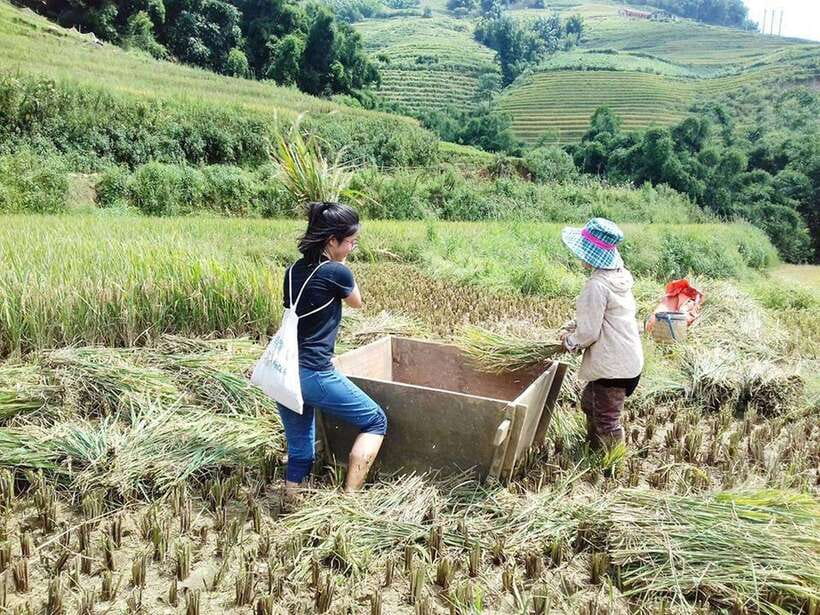 Sa Pa: Muong Hoa Valley Trek and Local Ethnic Villages - Key points to know before booking