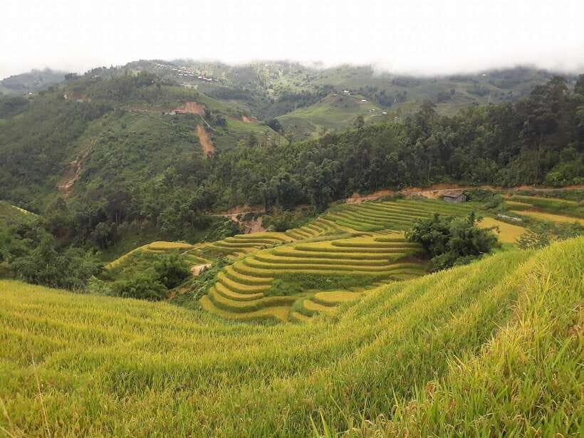 Sa Pa: Muong Hoa Valley Trek and Local Ethnic Villages - Why this Muong Hoa Valley trek works