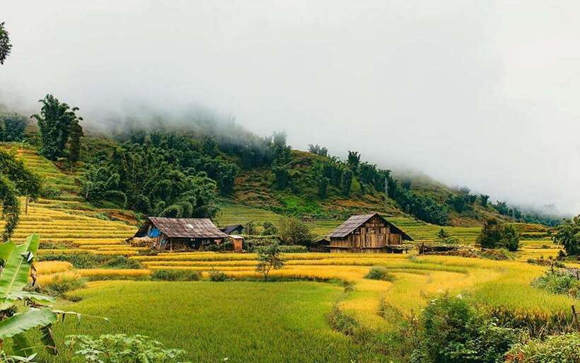 Sa Pa: Muong Hoa Valley Trek and Local Ethnic Villages - Ta Van Giay, the suspension bridge, and ancient carvings