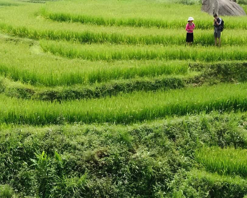 Sapa 1 Day Long Trek: Trek to Hau Thao and Sa Seng Villages - Lunch with a local family