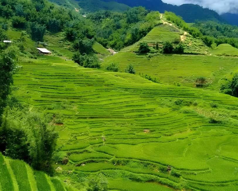 Sapa 1 Day Long Trek: Trek to Hau Thao and Sa Seng Villages - How hard is the trek?