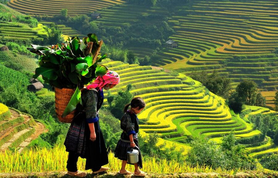 Sapa: 3-Day, 3-Night Trek and Hotel with Overnight Train - A train ride that starts the Sapa adventure