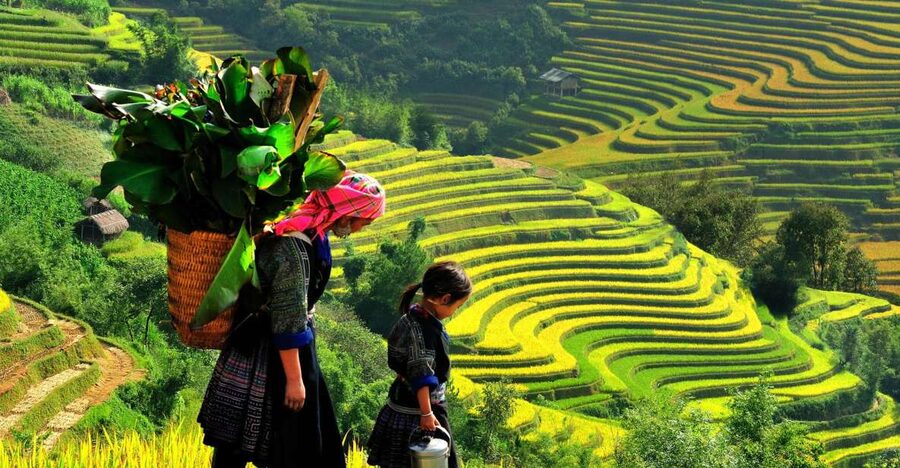 Sapa: 3-Day, 3-Night Trek and Hotel with Overnight Train - A night in Ta Van with the Zay people