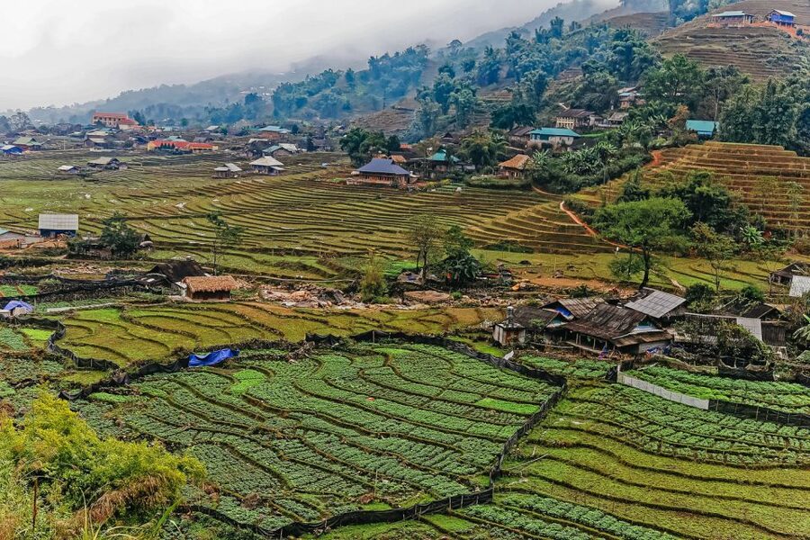 Sapa: 3-Day, 3-Night Trek and Hotel with Overnight Train - Y Linh Ho and Lao Chai along Muong Hoa Valley
