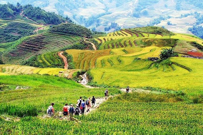 Sapa 3 Days 2 Nights Trekking Tour (1 Night In Ta Van Village, 1 Night In Hotel) - What the $139 price really covers