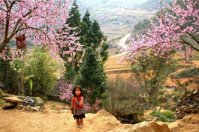 Sapa 3 Days 2 Nights Trekking Tour (1 Night In Ta Van Village, 1 Night In Hotel) - Day three: Giang Ta Chai and the ride home