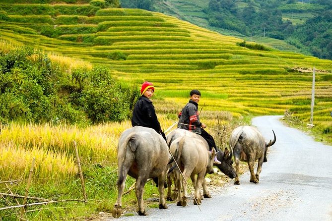 Sapa 3 Days 2 Nights Trekking Tour (1 Night In Ta Van Village, 1 Night In Hotel) - The long morning from Hanoi to Sapa