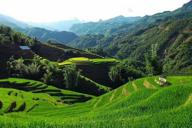 Sapa 3 Days 2 Nights Trekking Tour From Hanoi (2 Nights in Hotel) - Muong Hoa, Lao Chai, and Ta Van