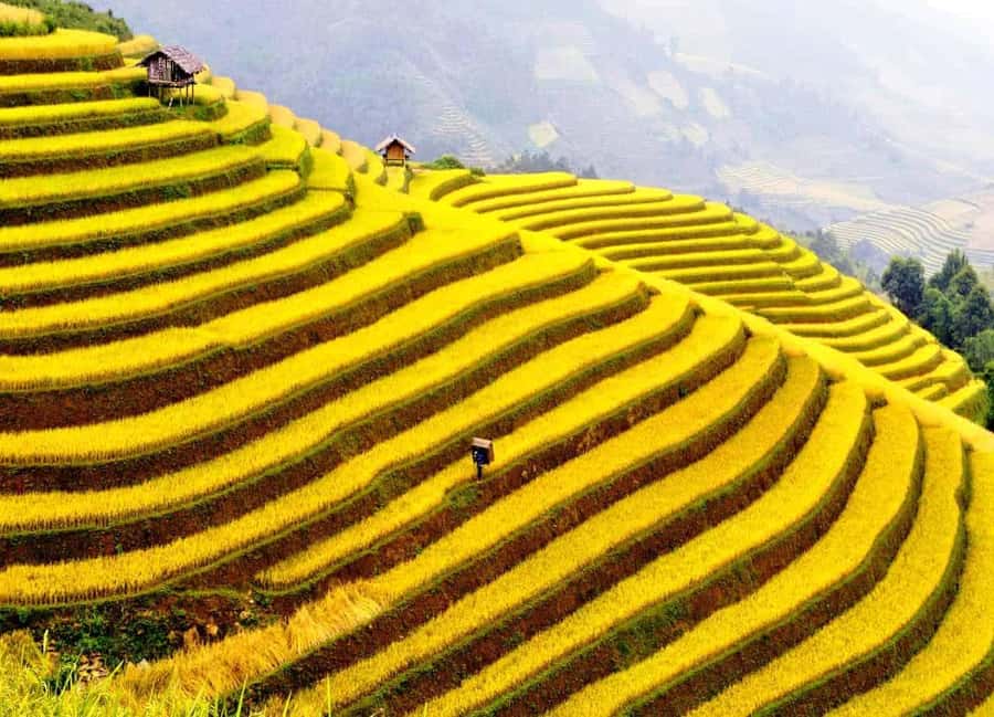 Sapa: Cat Cat Village, Moana, Alpine Coaster, Fansipan Cable - The summit buffet makes the longer day easier