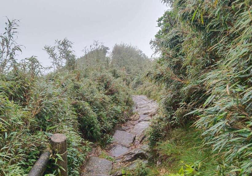 SAPA : Climb up to Fansipan mountain with LOCAL GUIDE - Clothing, shoes, and weather strategy