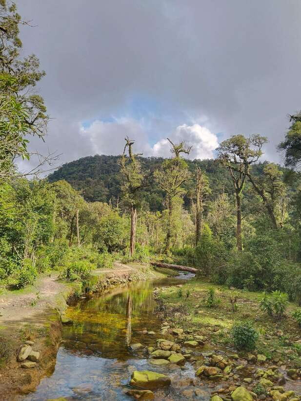 SAPA : Climb up to Fansipan mountain with LOCAL GUIDE - Who should choose this Fansipan climb?