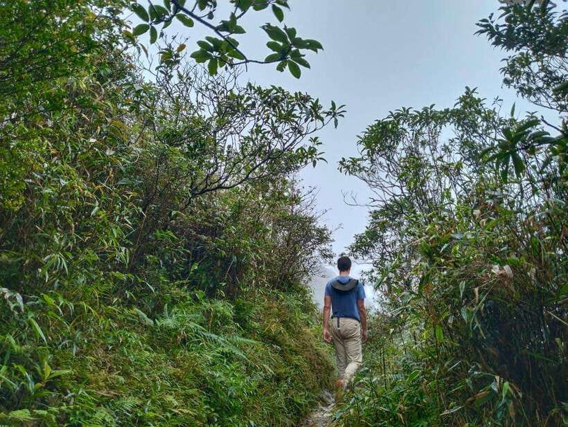 SAPA : Climb up to Fansipan mountain with LOCAL GUIDE - Tram Ton Pass and the first forest section
