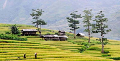 Eco Adventure Terrace Fields and Local Villages Trek