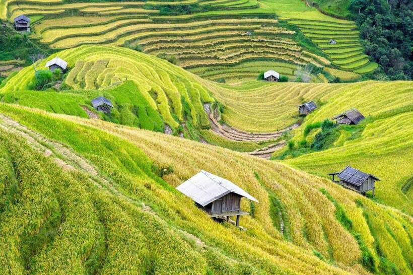 Sapa: Eco Adventure Terrace Fields and Local Villages Trek - Lunch with a Hmong family at about 12:30 PM