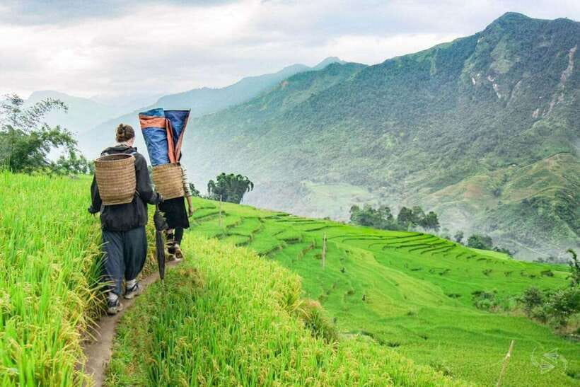 Sapa: Eco Adventure Terrace Fields and Local Villages Trek - Ta Van Village and the Dzay community