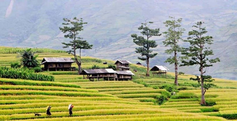 Sapa: Eco Adventure Terrace Fields and Local Villages Trek - 9:00 AM at Sapa Church and the first viewpoint
