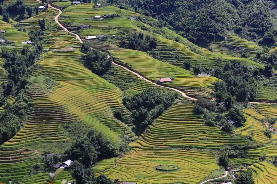 Sapa: Local Exploration on a Guided Motorbike Tour - Lunch in Sapa and the longer afternoon route