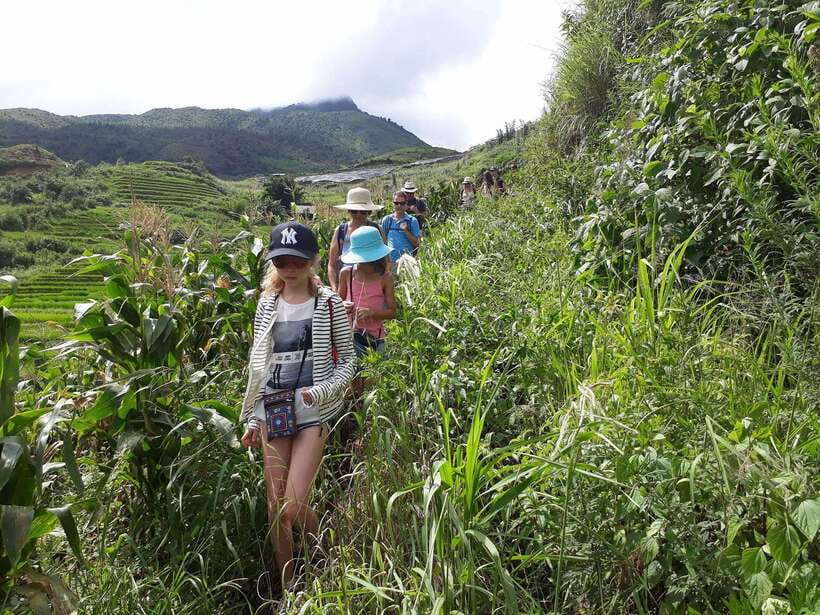 Sapa: Love Silver Waterfall, LonelyTree in Heaven-Rice Field - San Sa Ho and Hmong textile traditions