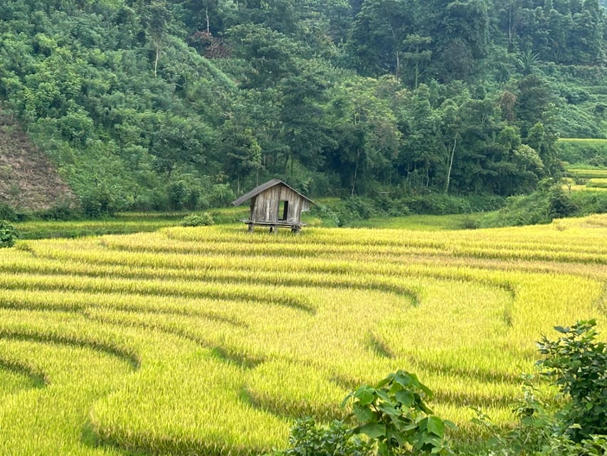 Sapa: Motorbike Tour 1 Day Visit Waterfalls & Local Villages - Lonely Tree and the high view over the valley