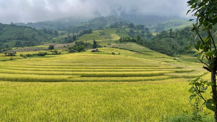 Sapa: Motorbike Tour 1 Day Visit Waterfalls & Local Villages - A Black Hmong family visit