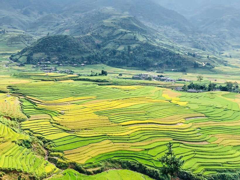 Sapa: Private Highlights Day Tour with Lunch - Y Linh Ho and Lao Chai in Muong Hoa Valley