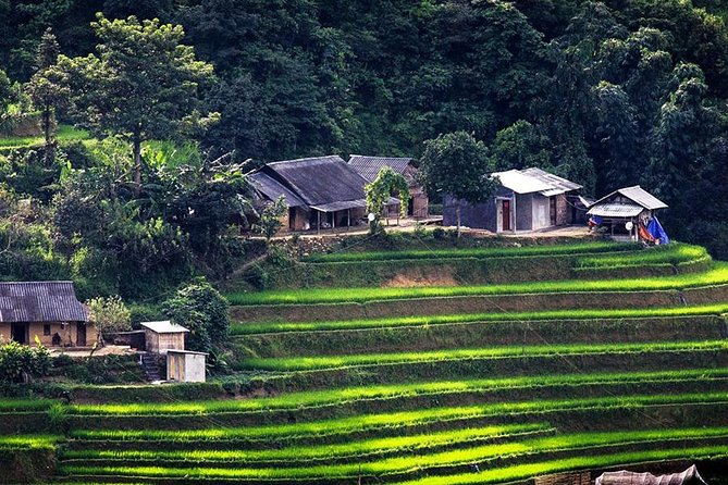 Sapa Tours 2D1N stay At 4 stars hotel nice Sleeping Bus TRANSFER - Freesia Hotel and the Overnight Stay