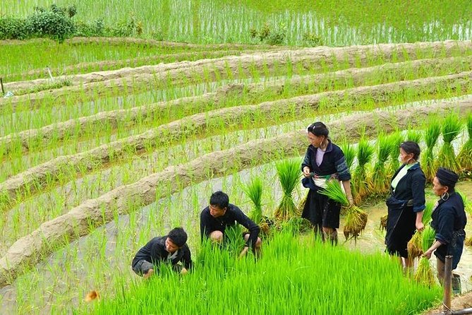 Sapa Trekking Tour 2 Days 1 Night By Bus - Giang Ta Chai, Su Pan, and the waterfall