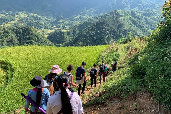 Sapa Trekking Tour 2 Days 1 Night By Bus - Your first afternoon in Sapa