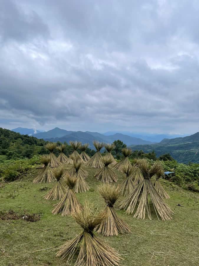 Sapa: Y Linh Ho - Lao Chai, and Ta Van Trekking Day Tour - Walking the terraces toward Lao Chai