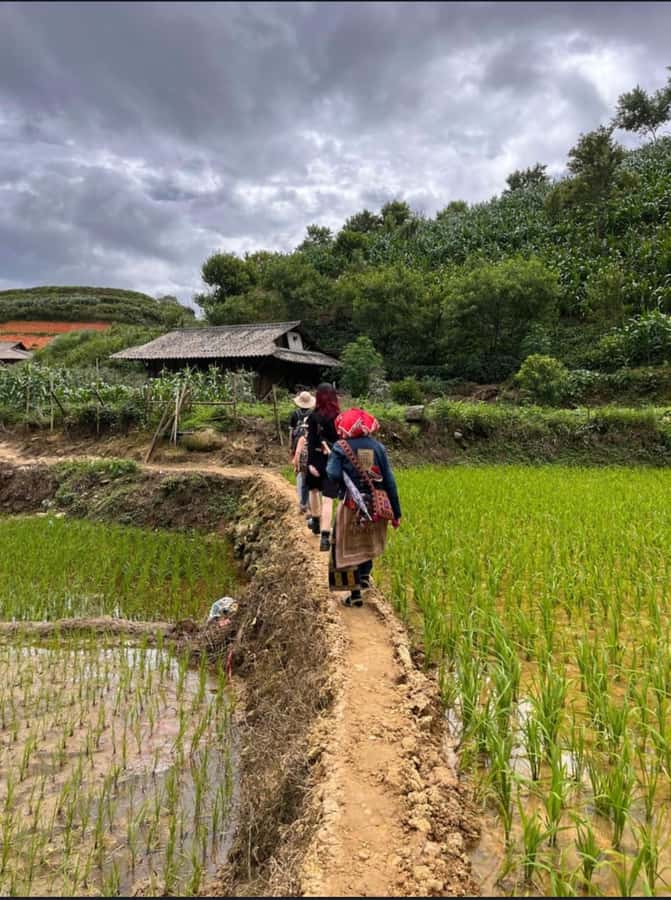Sapa: Y Linh Ho - Lao Chai, and Ta Van Trekking Day Tour - Is $19 good value for this Sapa trek?