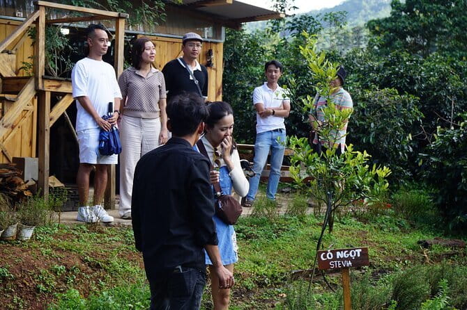 Scented Candle Workshop in Twin Beans Farm Da Lat - Adding coffee to the farm visit