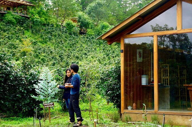 Scented Candle Workshop in Twin Beans Farm Da Lat - Walking through the herb garden