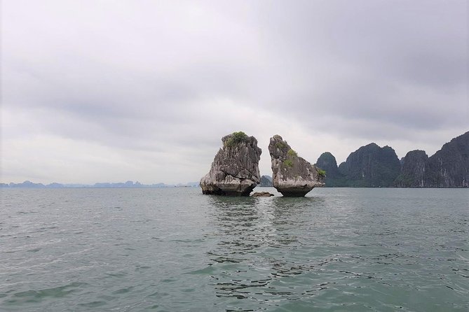 Shore Excursion: Amazing Day Cruise at Ha Long Bay - Lunch on board with a shared Vietnamese set menu