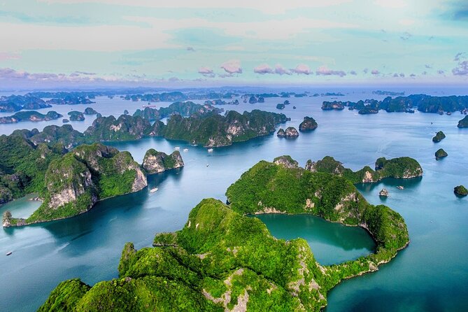 Shore Excursion: Amazing Day Cruise at Ha Long Bay - The boat, service, and pace of the day
